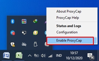 Cara Menggunakan V2Ray di PC dengan ProxyCap