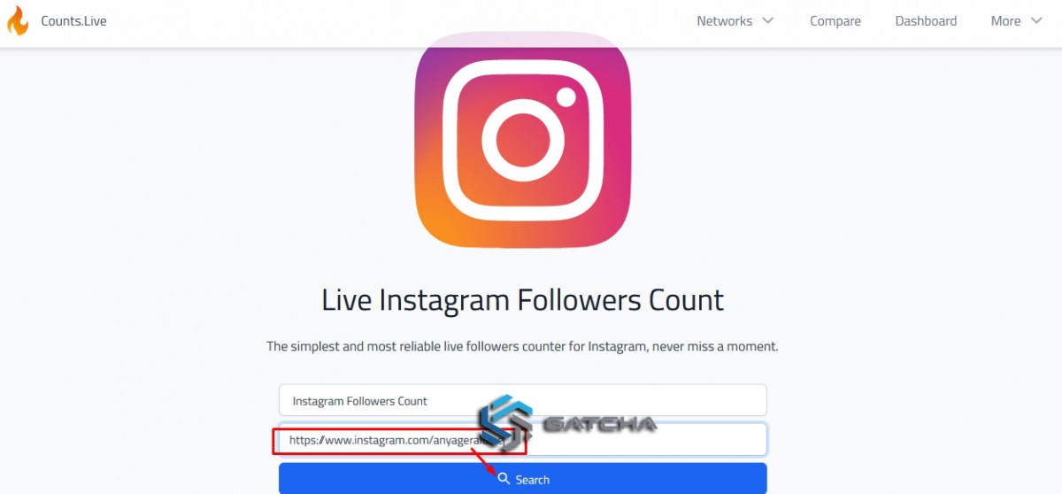 Cara Melihat Follower Instagram Secara Live