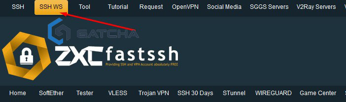 SSH WS (Websocket)